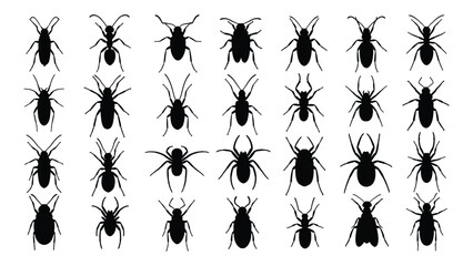 A group of black insect silhouettes on a white background isolated on white background, Vector © SILHUETTECHEMBER