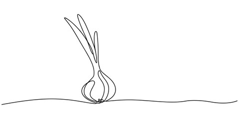onion stalk continuous one line drawing, Leeks, fresh onion stalk illustration, background. One line drawing art illustration with lettering organic leeks, Fresh ingredient concept for veget © Creative Tania