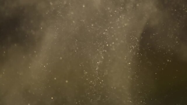 Subtle Glimmering Texture Macro shot of diffused light creating sparkling specular highlights on soft elements.