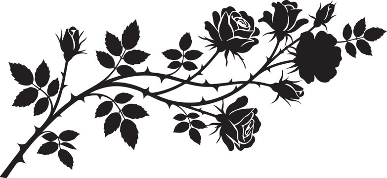 Black rose branch, floral silhouette, thorn stem, dark botanical vector