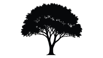 A black silhouette of a tree with a wide canopy isolated on white background, Vector © SILHUETTECHEMBER