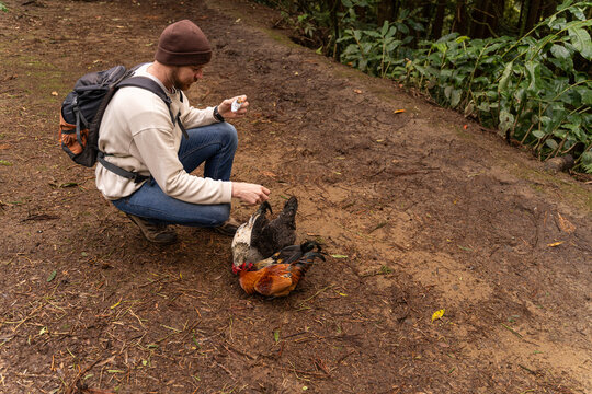 Man feeding forest chickens