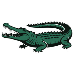 Fototapeta premium crocodile isolated on white