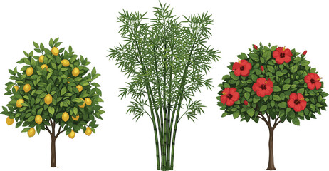 Set Of Potted Fruit And Ornamental Trees Including Lemon Tree With Yellow Fruits Green Bamboo Stalks And Red Hibiscus Flower Bush Isolated Vector Illustration © MdMeherul