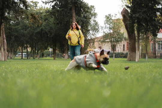 Playing fetch with dog 