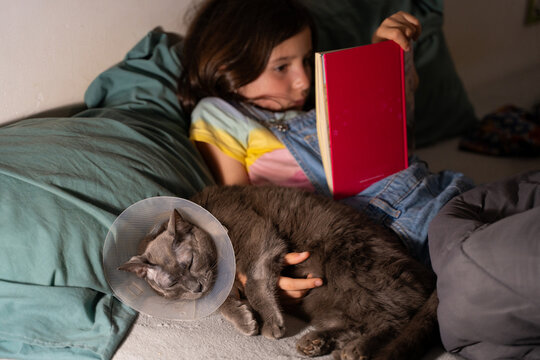 Child Reading book with Injured Cat at Home