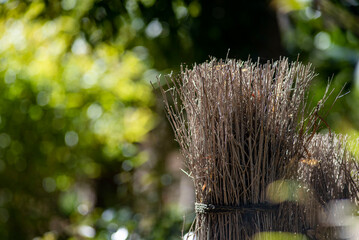 26219鎌倉　北鎌倉3　ボサ柵