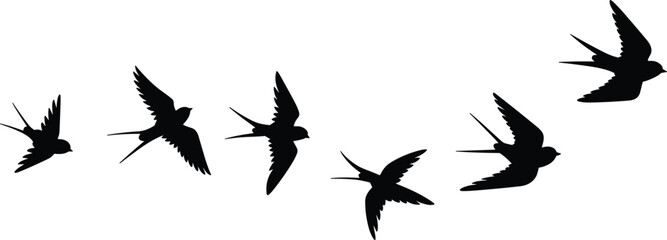 Swallow bird silhouette set, flying swift birds, spring migration flock, nature wildlife clipart, isolated design, flat vector illustration