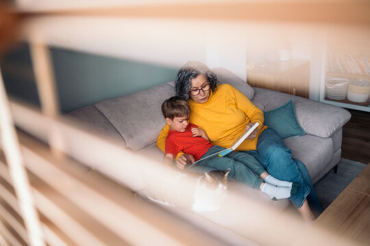 Grandmother reading a book to grandson on sofa with cat
