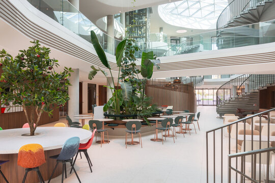 Colorful Office Lounge With Indoor Garden