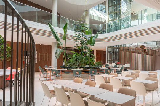 Indoor Office Dining Area With Green Atrium