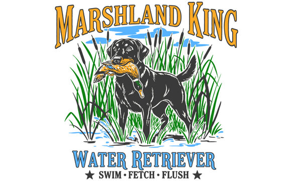 Marshland King Water Retriever: Labrador dog with duck in marsh, vintage style hunting illustration for t-shirt, poster, sticker. Swim, fetch, flush a