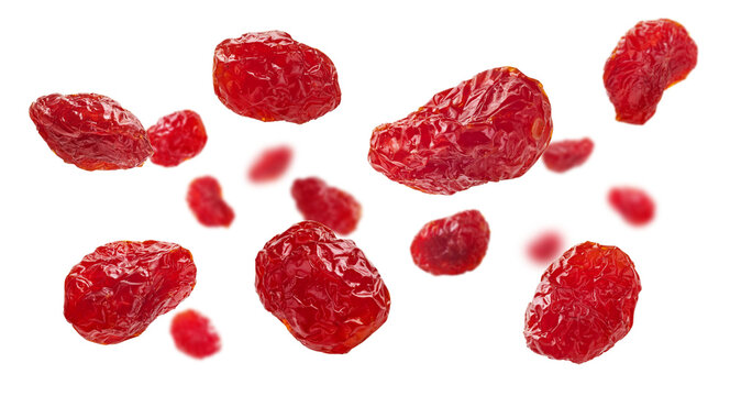 A set of dogwood berries. Isolated on a white background