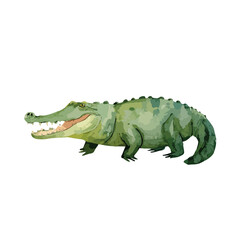 Fototapeta premium Vibrant Watercolor Crocodile Illustration Wild Reptile Animal.