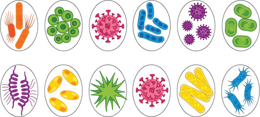 Microbiology identification master grid with 15 diverse pathogen layouts
