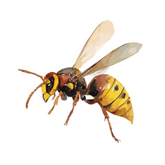 Fototapeta premium Vibrant Watercolor Wasp Illustration Isolated Insect Art.
