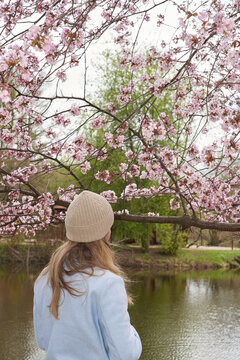 Woman stands near blooming cherry blossom trees 