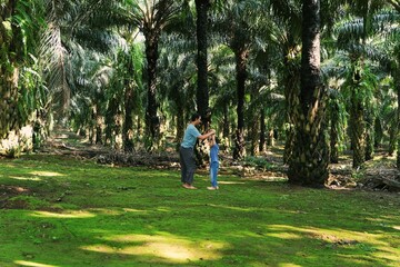 A father guiding his child through simple exercises in a palm plantation, highlighting parenting, health, and outdoor activity.