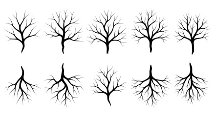 Obraz premium Bare tree and root vector icon collection. Includes 10 distinct black silhouettes of leafless trees and exposed root systems. Created in a minimalist flat style with a black and white palette.