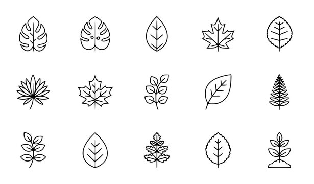 Leaf Line Icon Set with Botanical Nature Outline Symbols Isolated on White Background