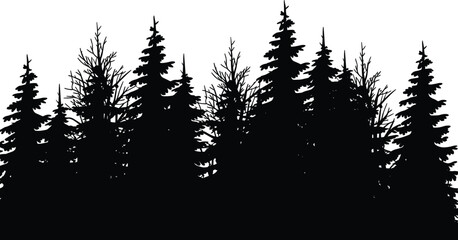WebDense forest silhouette illustration, coniferous pine and fir trees, natural landscape skyline, wilderness environment design, outdoor nature theme, flat vector illustration © Noman