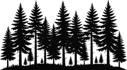WebDense forest silhouette illustration, coniferous pine and fir trees, natural landscape skyline, wilderness environment design, outdoor nature theme, grassy ground, flat vector artwork © Noman