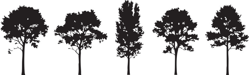 Obraz premium A set of five distinct tree silhouettes against a plain white background