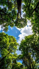 Fototapeta premium A low-angle view of trees with green leaves against a blue sky