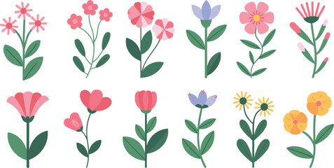 Cute pastel flower vector set featuring spring floral elements botanical plants isolated on white background flat illustration collection