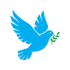 Obraz premium Blue dove with olive branch