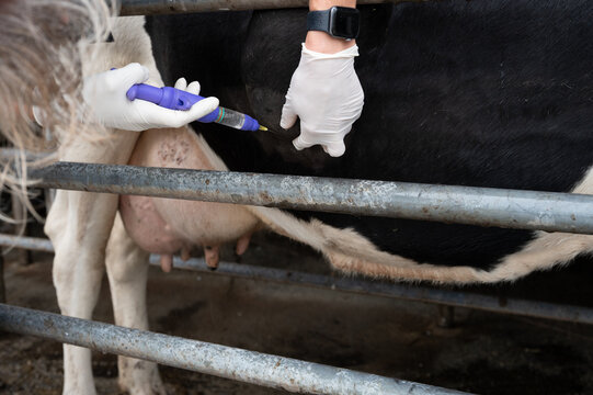 Field surgery: abscess