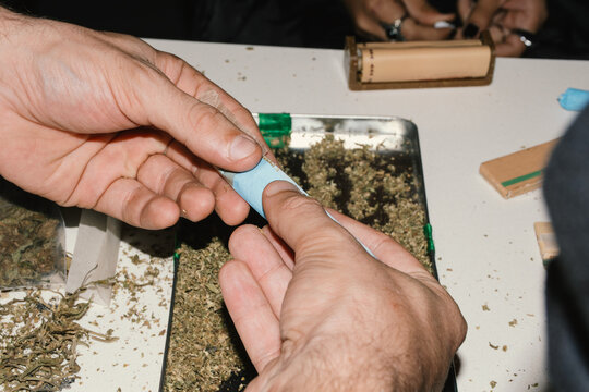 hands rolling joint cannabis