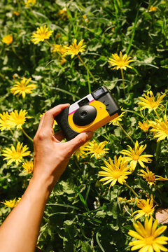 Capturing memories with a camera in a vibrant flower field