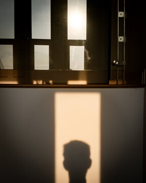 Silhouette of a head and ears during golden hour in Bangkok, Thailand
