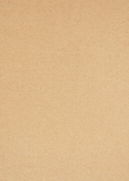 Plain Brown Kraft Paper Texture Portrait 