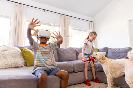Virtual Reality at home  Headset Fun dog 