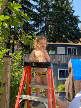 Toddler eats fresh fig in his undies
