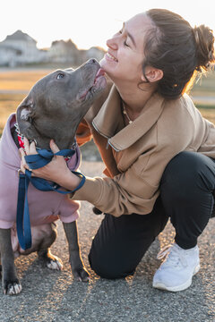 Dog training