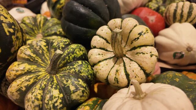 Different types of squash at a farmers market