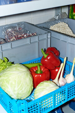Fresh vegetables stored in a blue basket in a kitchen storage area