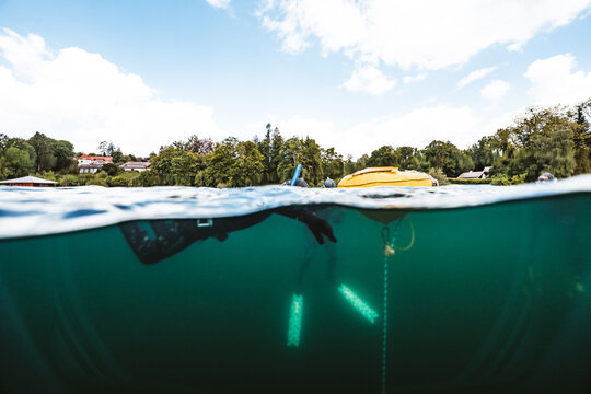 Split View of Freediving Practice in a Bavarian Lake
