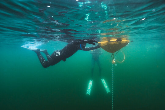Freediving Pair Training at Buoy in Cold Lake