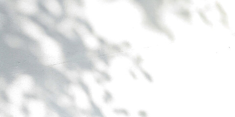Black and white abstract textured tree branch shadow to use in design  © wdhejbul