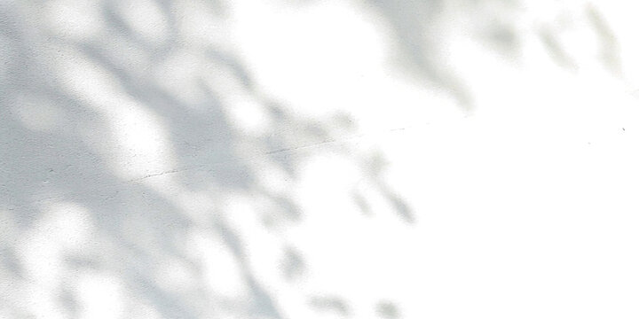 Black and white abstract textured tree branch shadow to use in design 