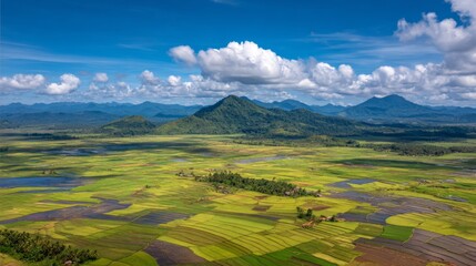 Fototapeta premium Scenic Aerial View of Lush Green Rice Fields Under Bright Blue Sky with Fluffy Clouds and Rolling Green Hills in the Background