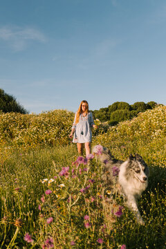 Woman walking with dog in wildflower field
