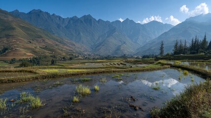 Serene Landscape of Rice Terraces Surrounded by Majestic Mountains Under a Clear Blue Sky in a Tranquil Valley