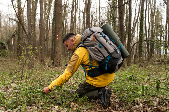 Into the Wild: A Journey Through Nature