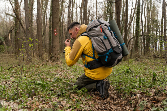 Into the Wild: A Journey Through Nature