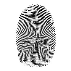 High Detail Black Fingerprint Pattern for Identity Verification